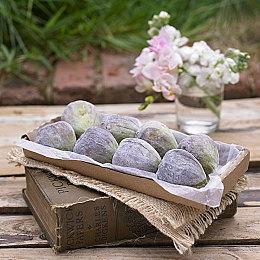 《夜下降生2》DLC角色Uzuki确定7月25日上线发售